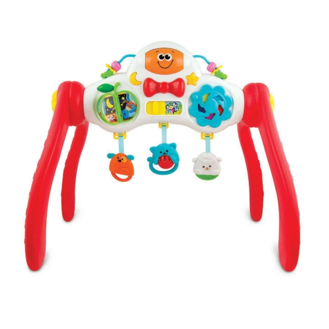 Grow-with-Me Melody Gym