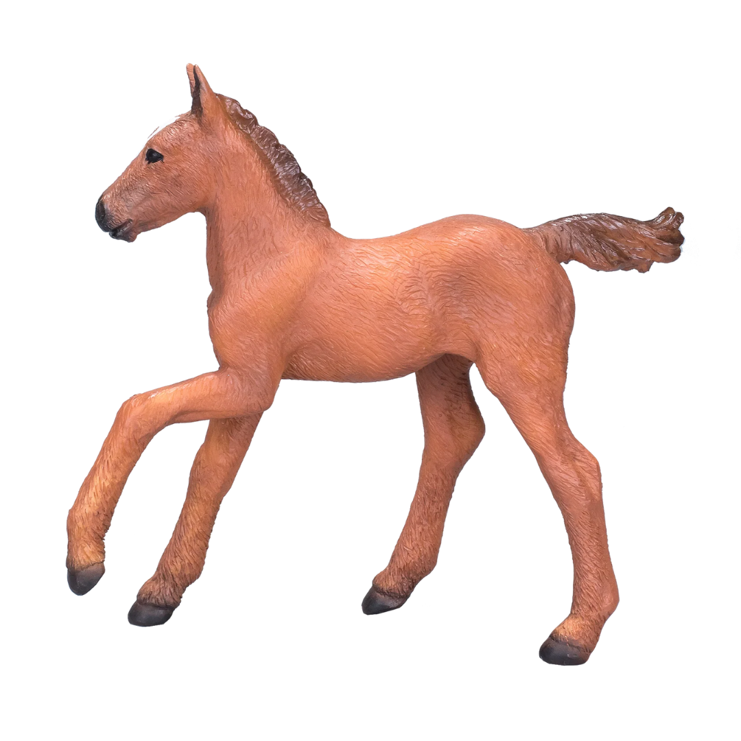 Mojo Arabian Foal Chestnut - M