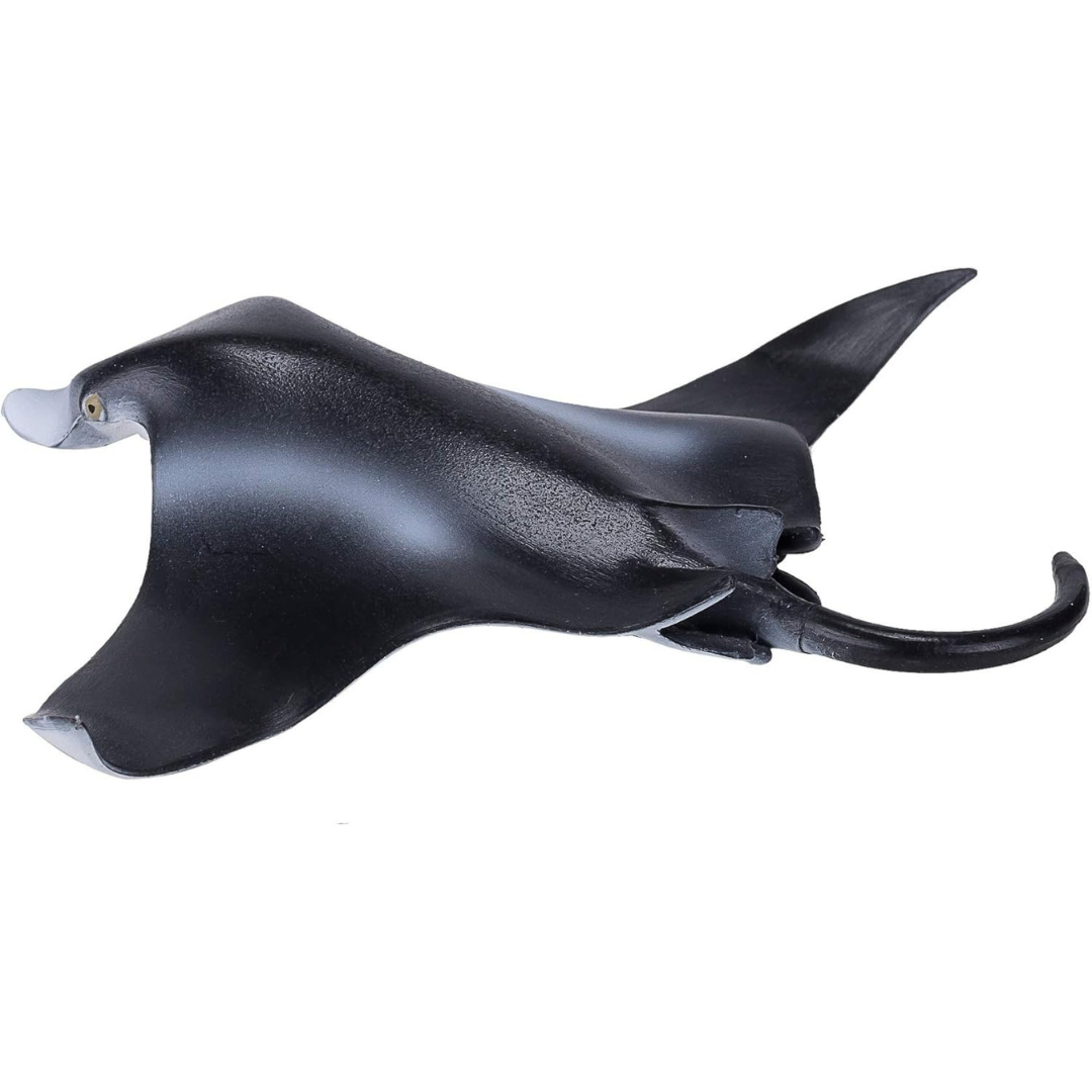 Mojo Manta Ray  (Portugal) - L