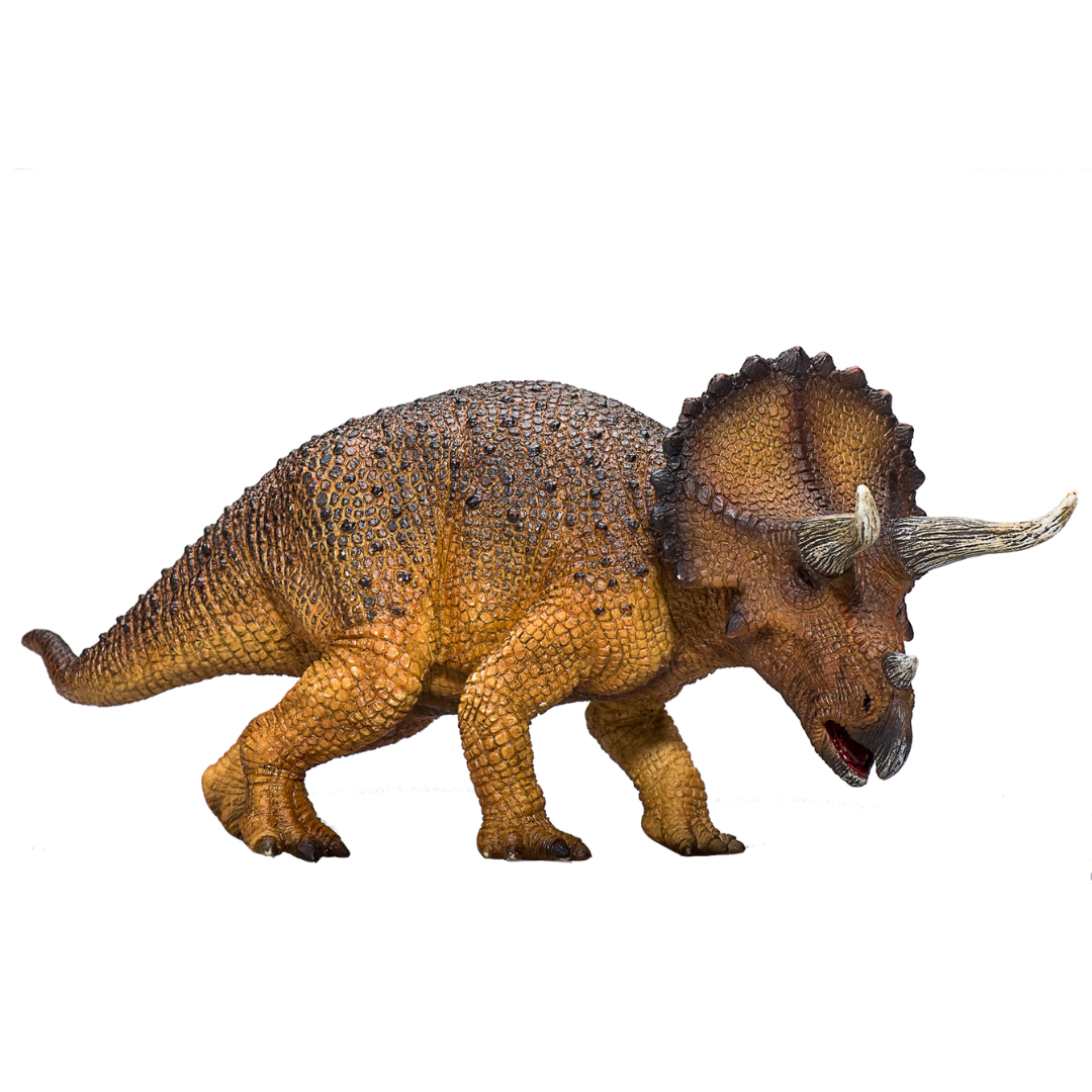 Triceratops -XXL