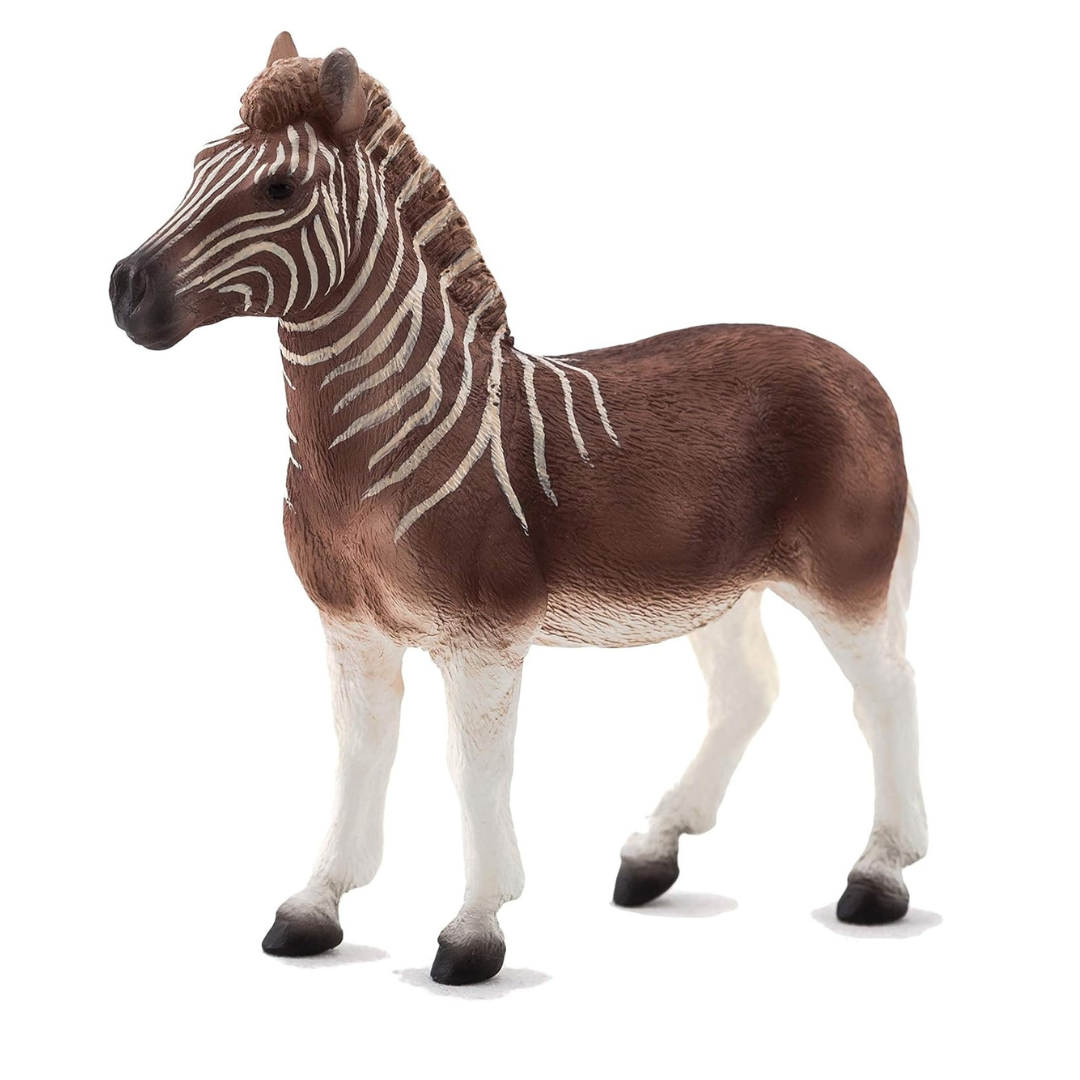 Mojo Quagga -XL