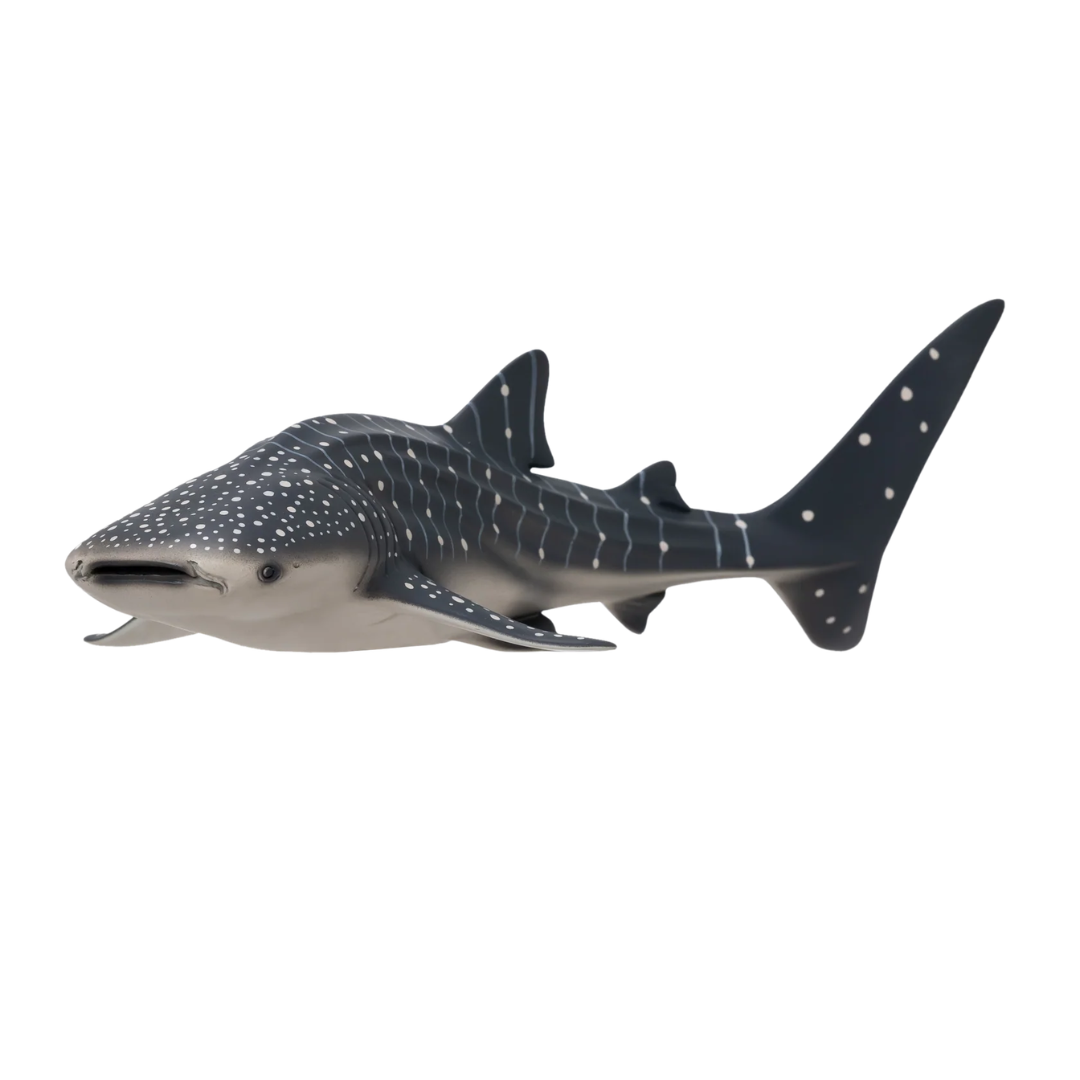 Mojo Whale Shark -DI