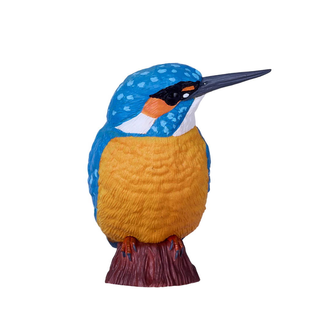 Mojo Kingfisher - XL