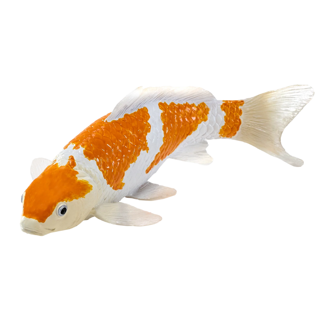 Mojo Koi Carp - Ochiba Shigure Koi (Gold White)
