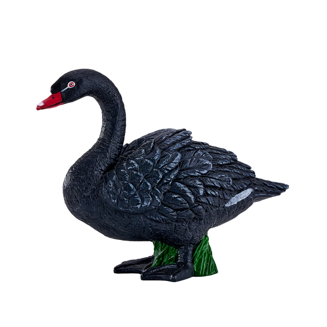 Mojo Black Swan