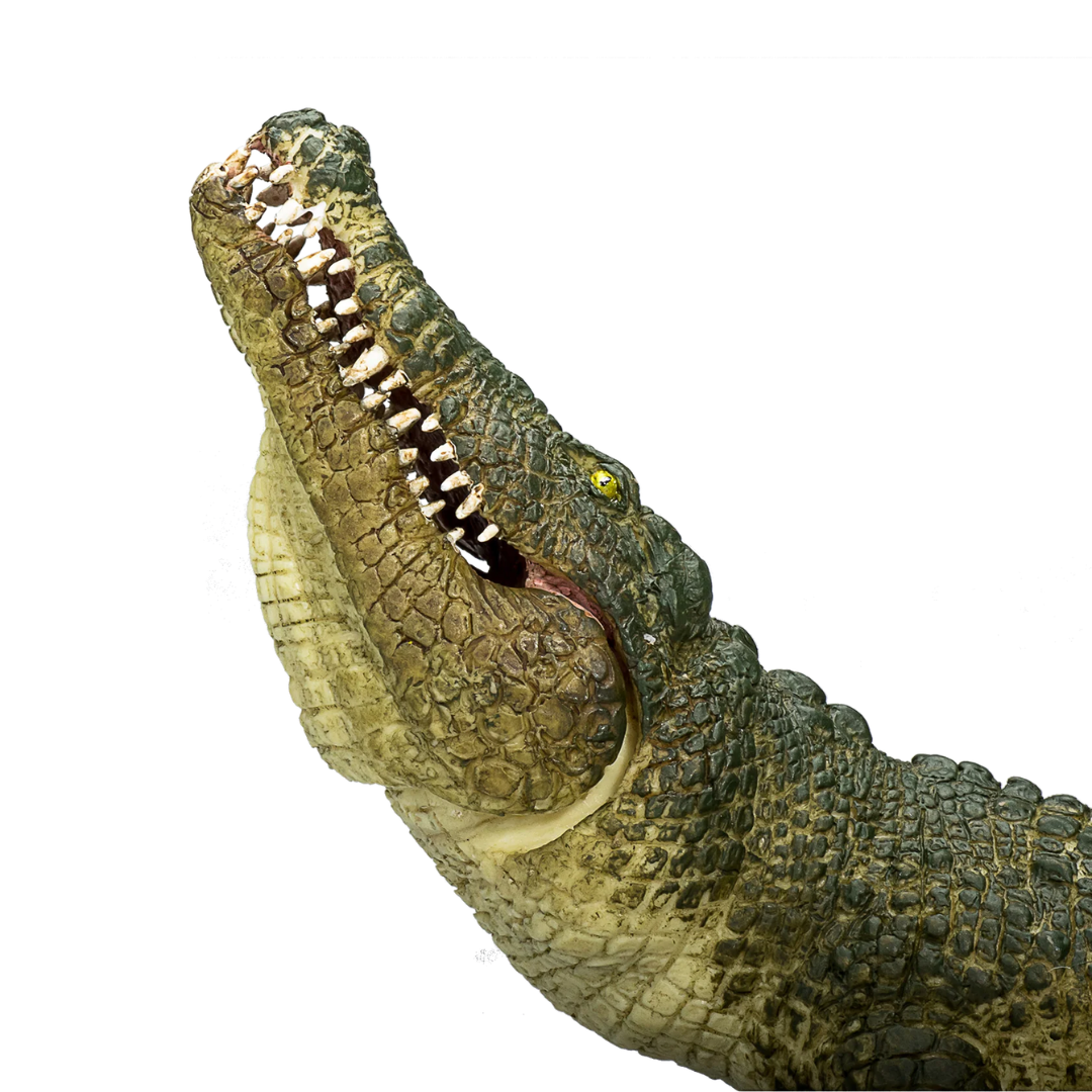 Mojo Crocodile with Articulated Jaw - XL