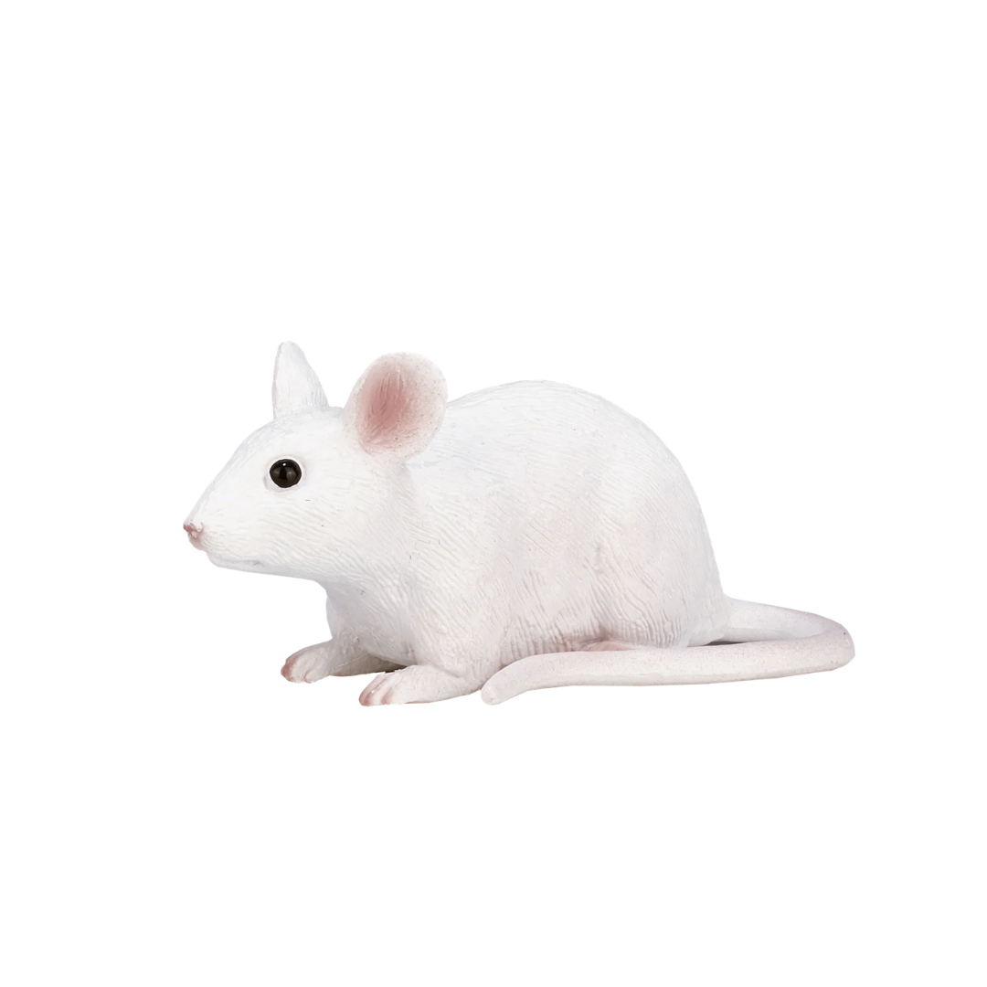 Mojo Mouse -S