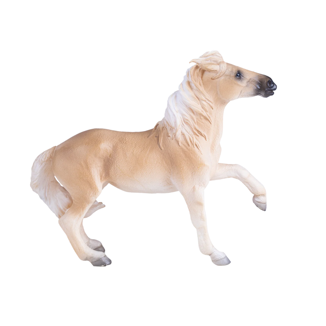 Mojo Brumby Mare  - XL