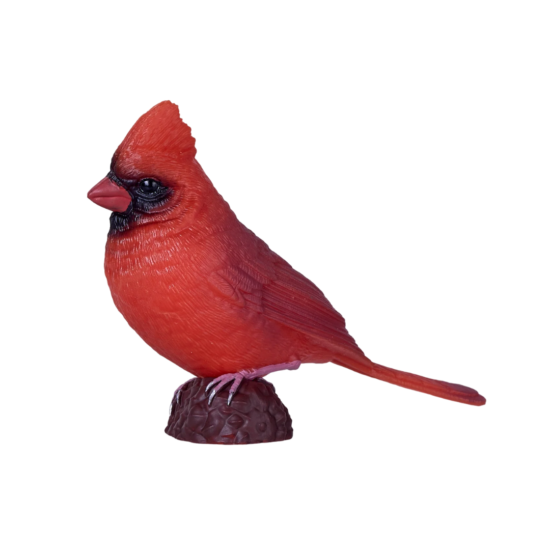 Mojo Red Cardinal Gift Boxed