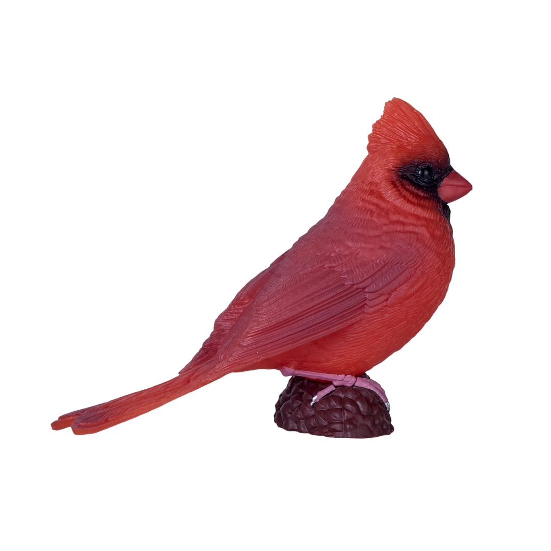 Mojo Red Cardinal - XL