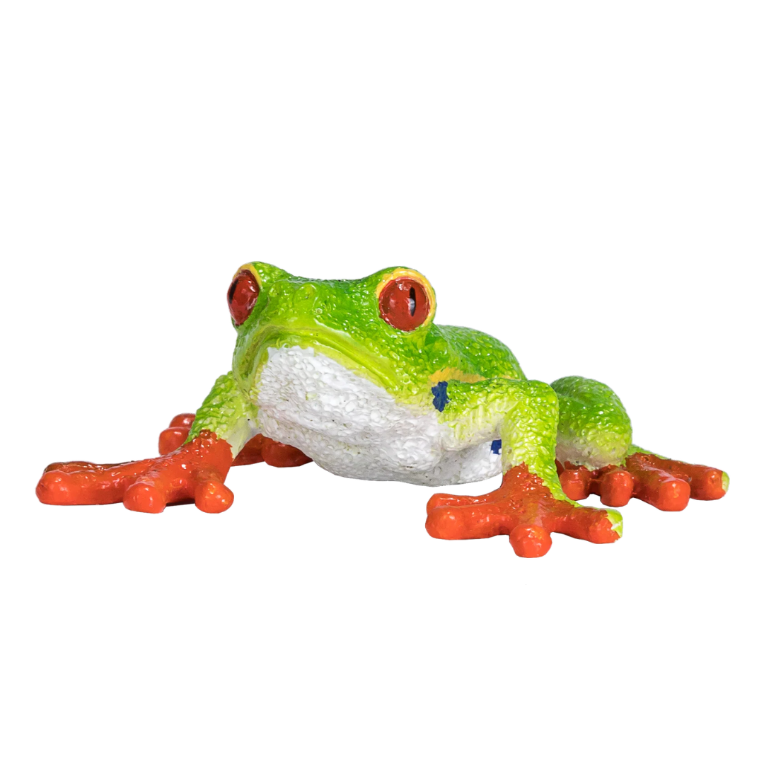 Mojo Red Eyed Tree Frog - M