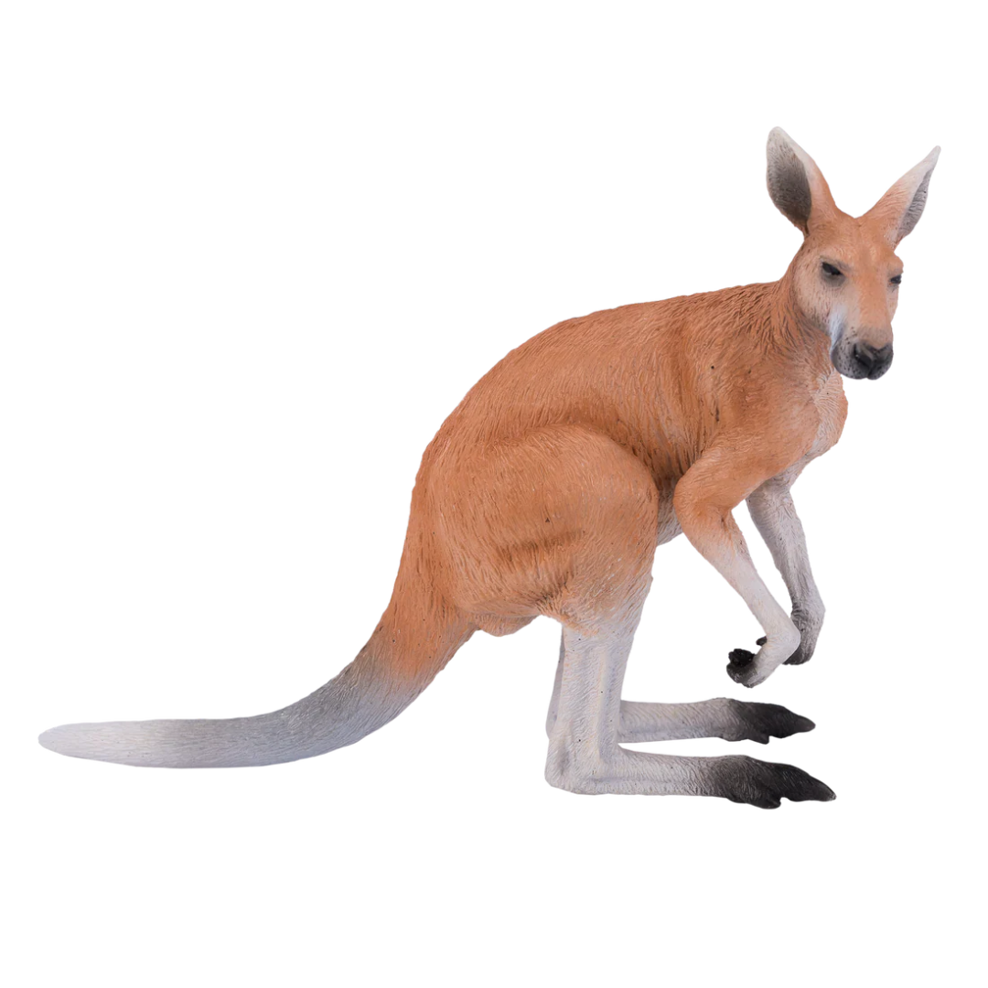 Mojo Kangaroo- L