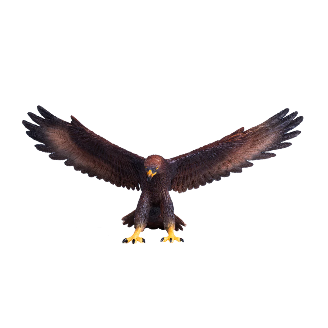 Mojo Golden Eagle - L