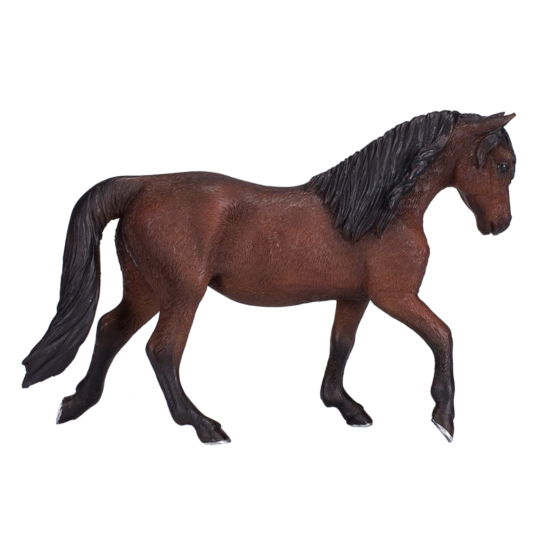 Mojo Morgan Stallion Bay - XL
