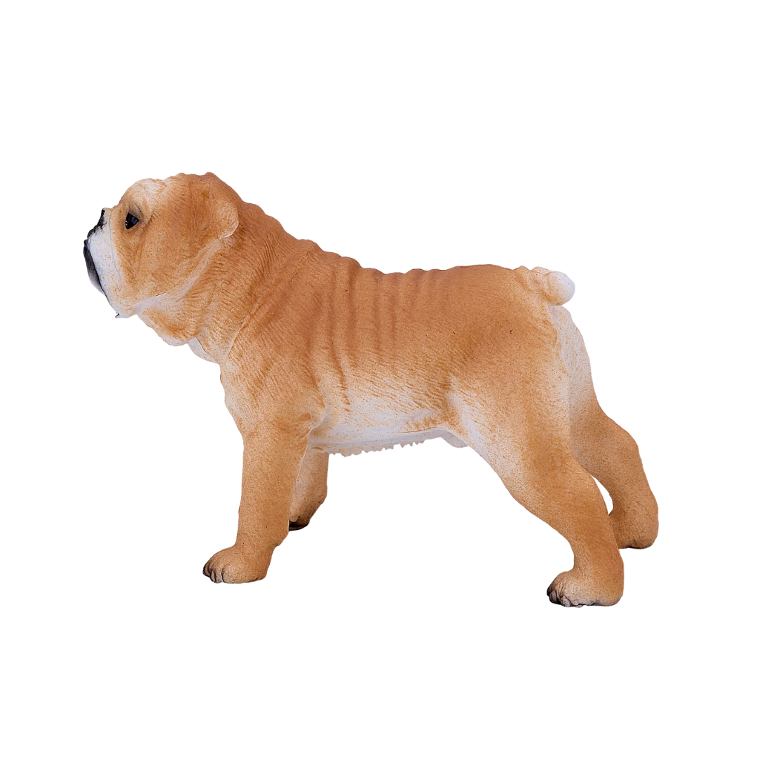 Mojo English Bulldog  - M