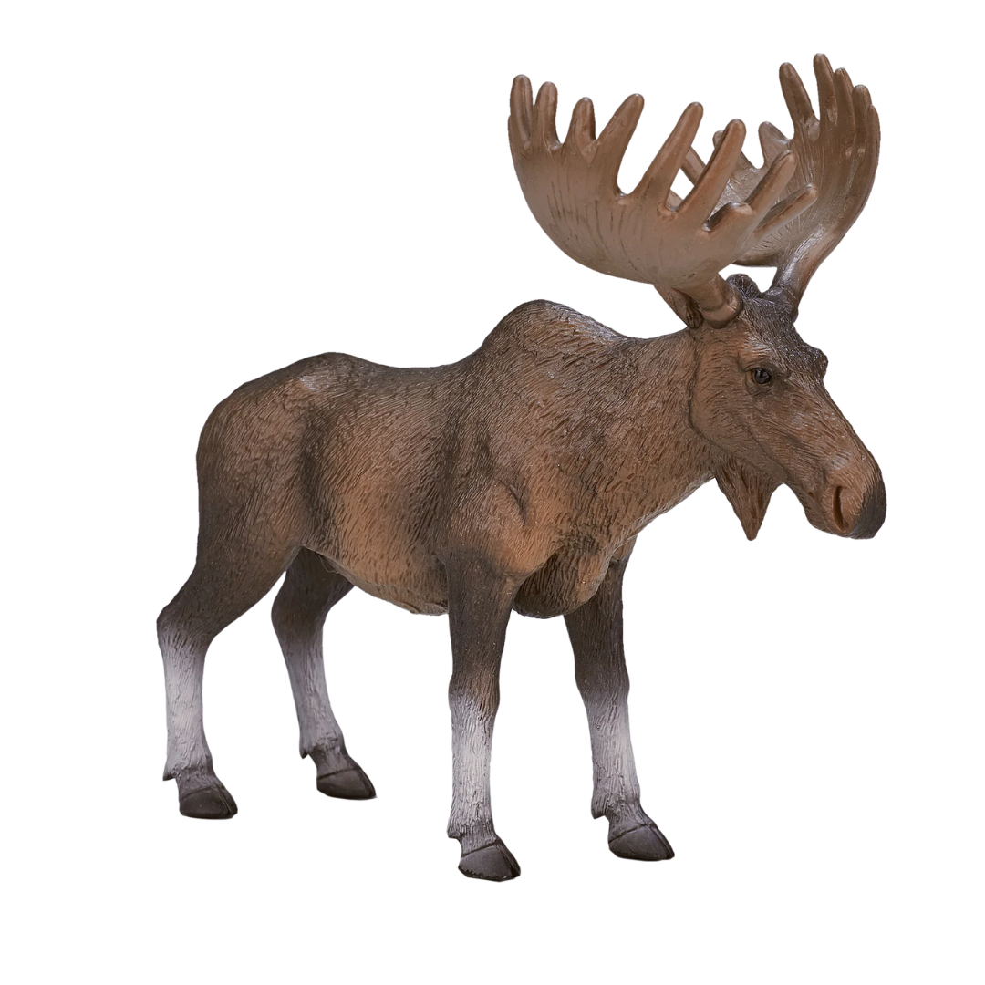 Mojo European Elk / Moose - XL