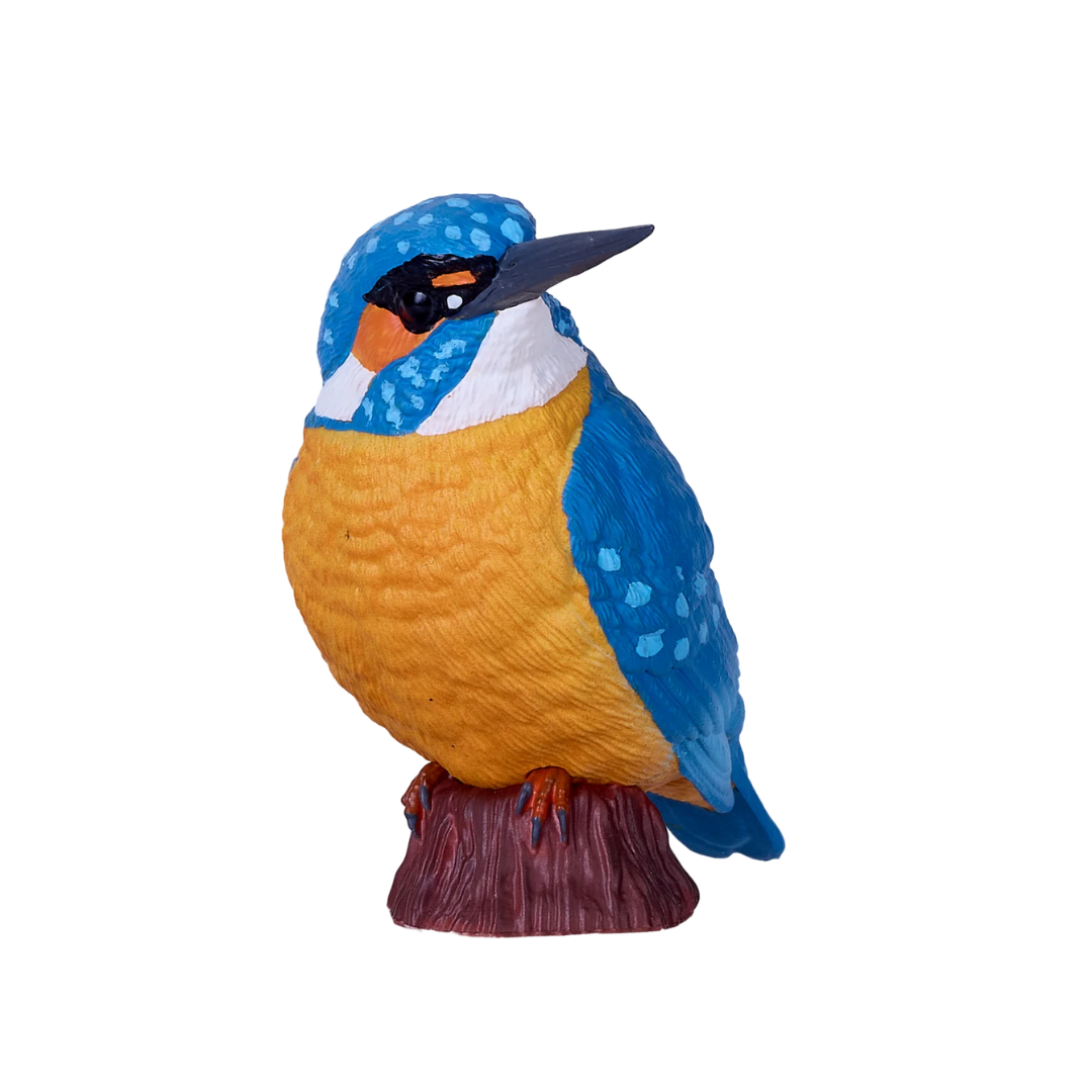 Mojo Robin Gift Boxed