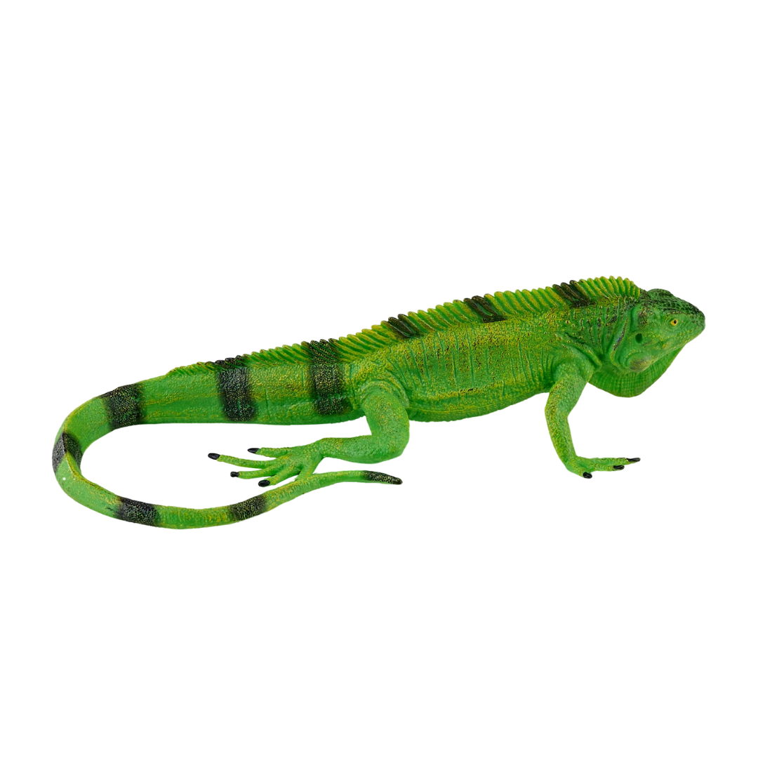 Mojo Iguana - XL