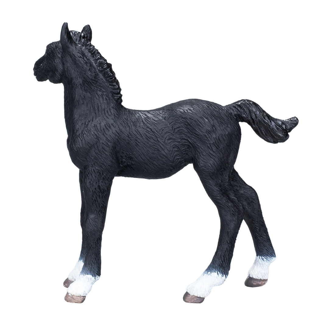 Mojo Hanoverian Foal Black  - M