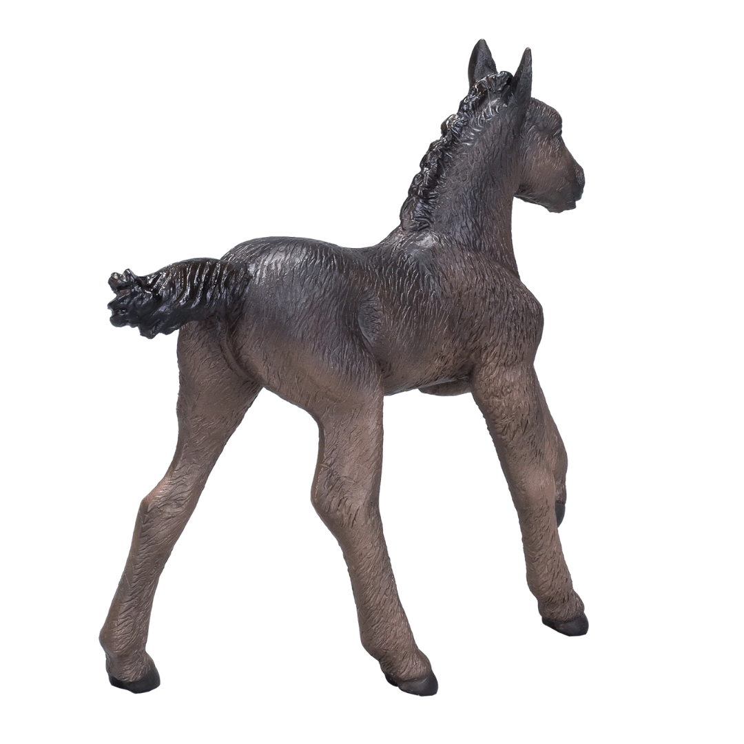 Arabian Foal Black  - M