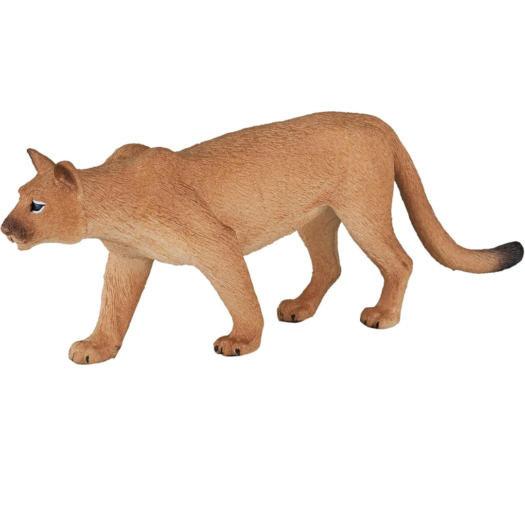 Mojo Mountain Lion - L