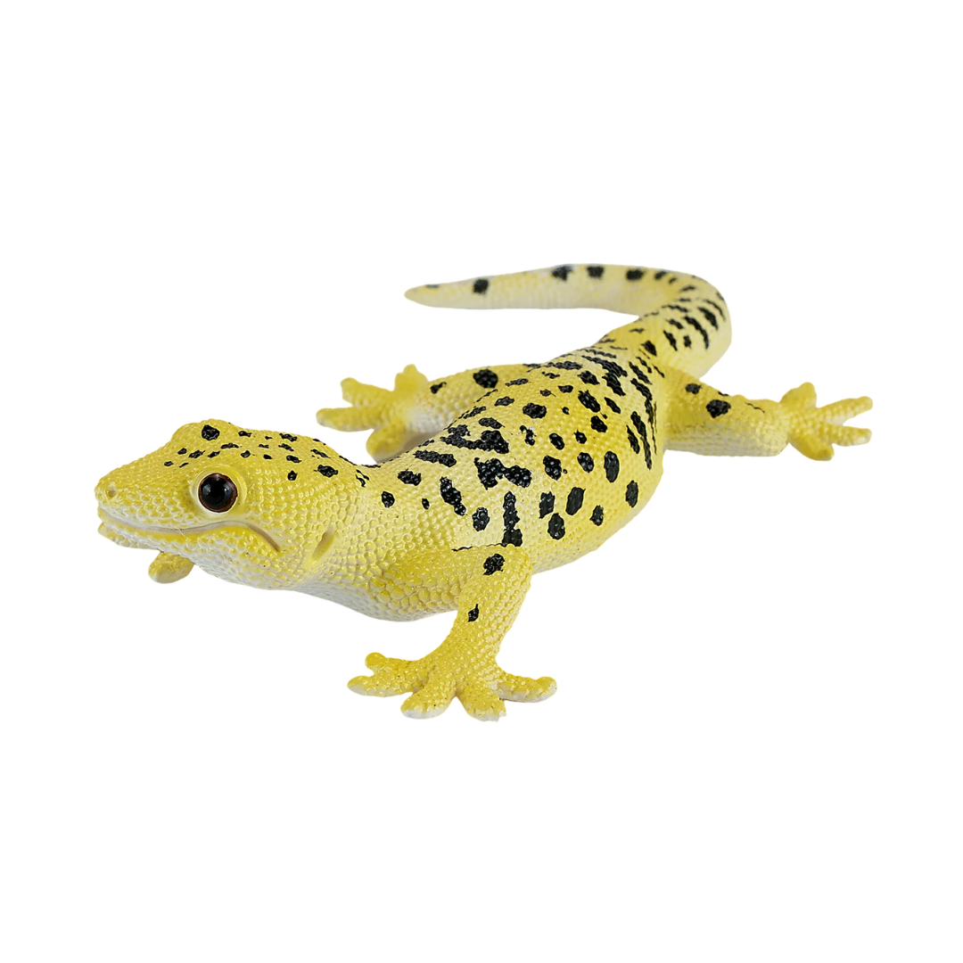 Mojo Gecko Leopard-M