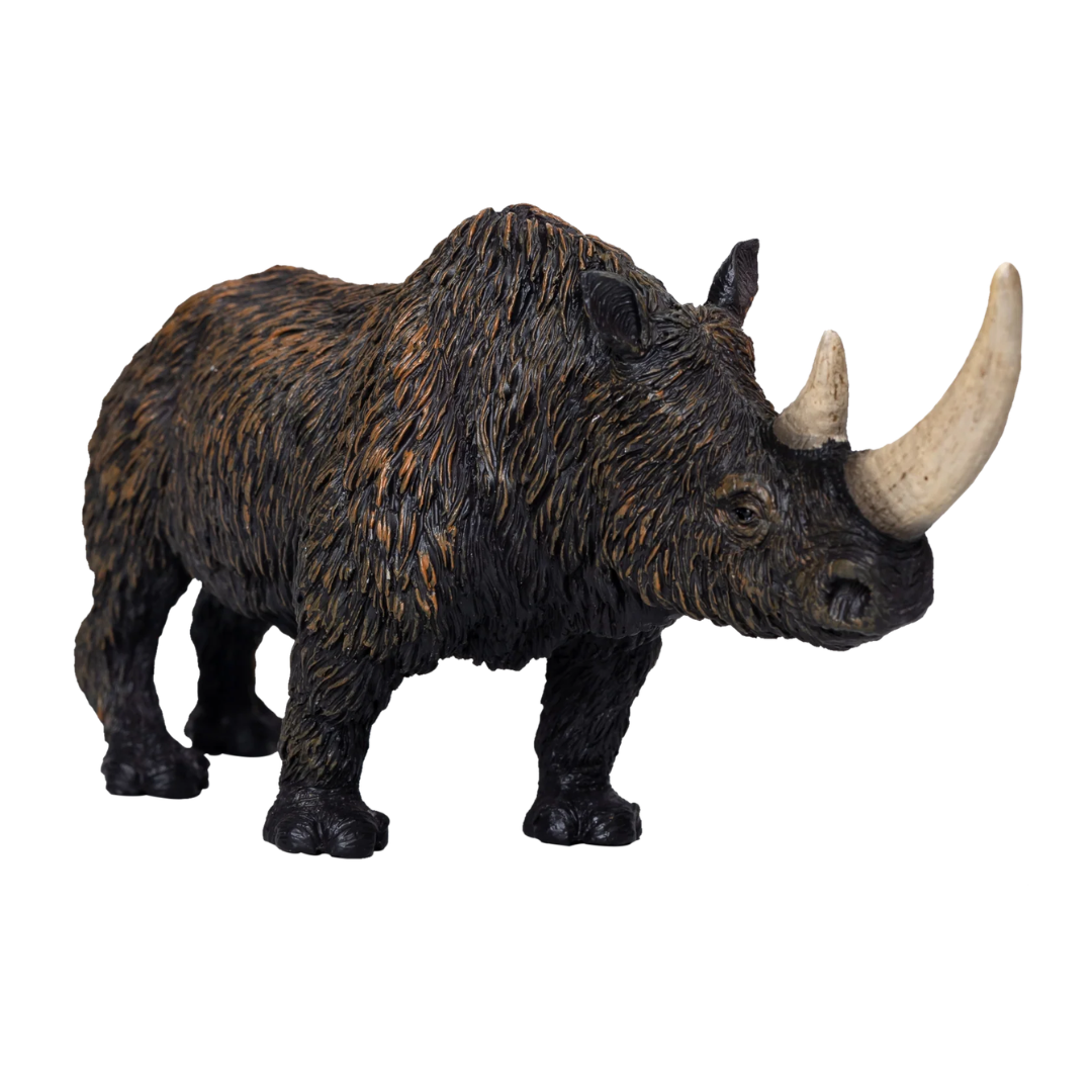 Mojo Woolly Rhino -DI