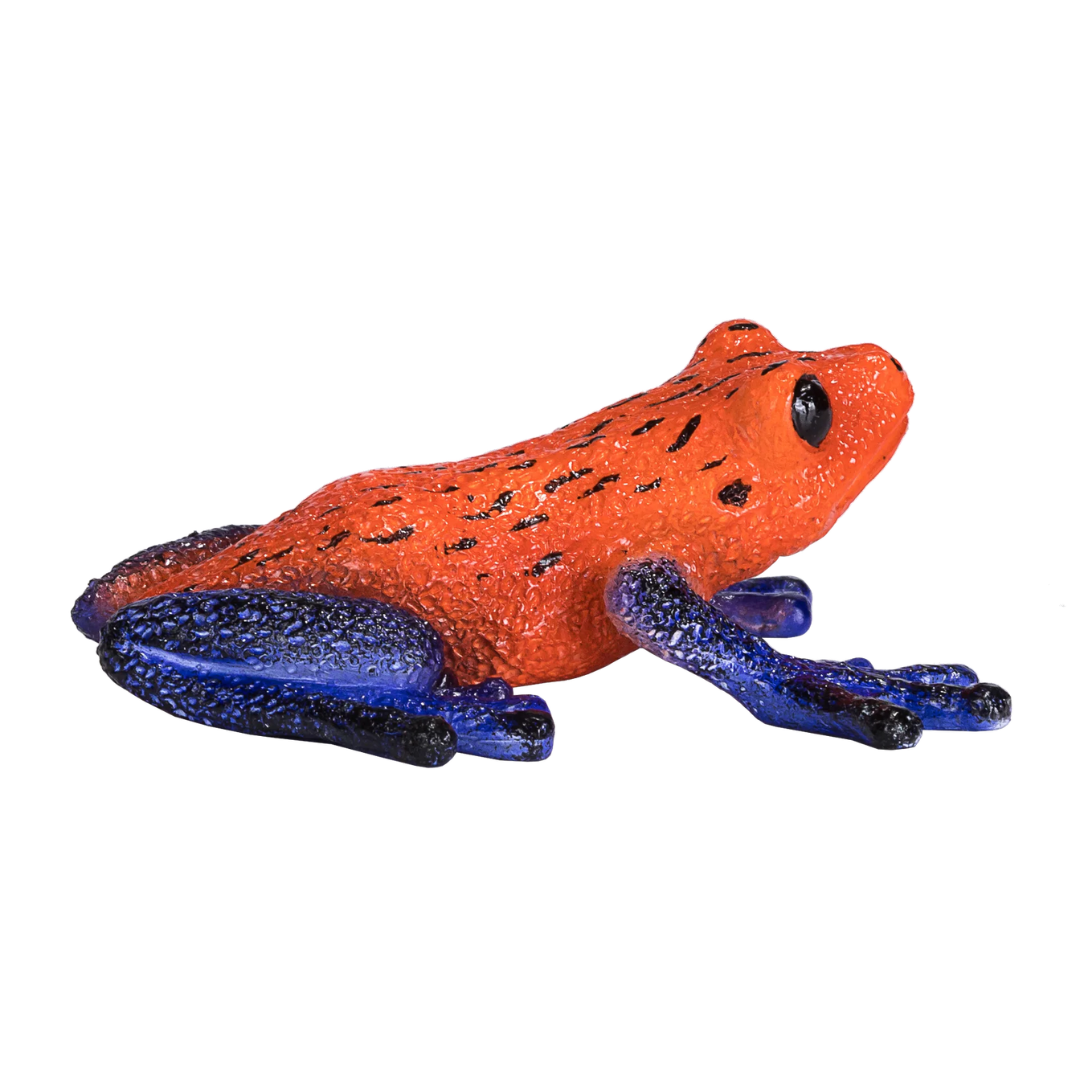 Mojo Poison Dart Tree Frog - M