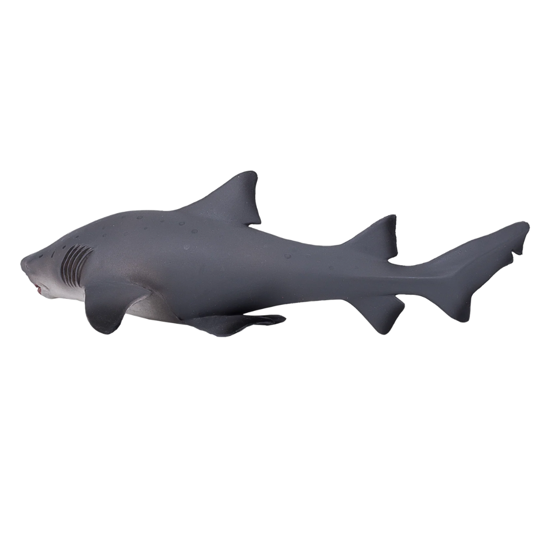 Sand Tiger Shark Large  (Portugal) -XXL
