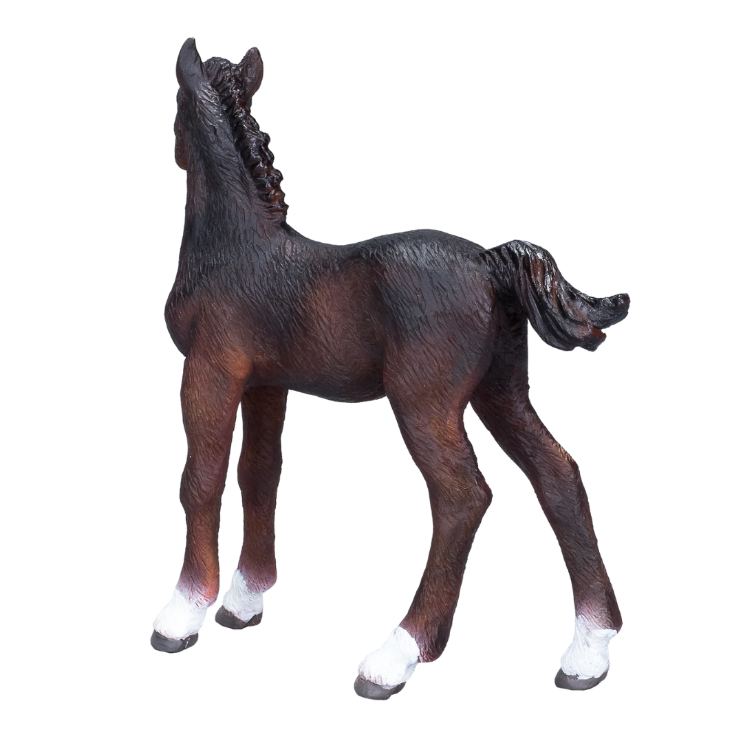 Mojo Hanoverian Foal Bay  - M