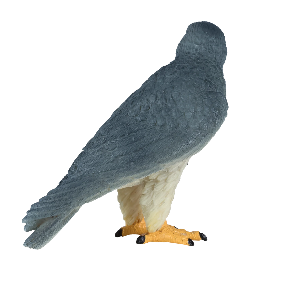 Mojo Peregrine Falcon - M