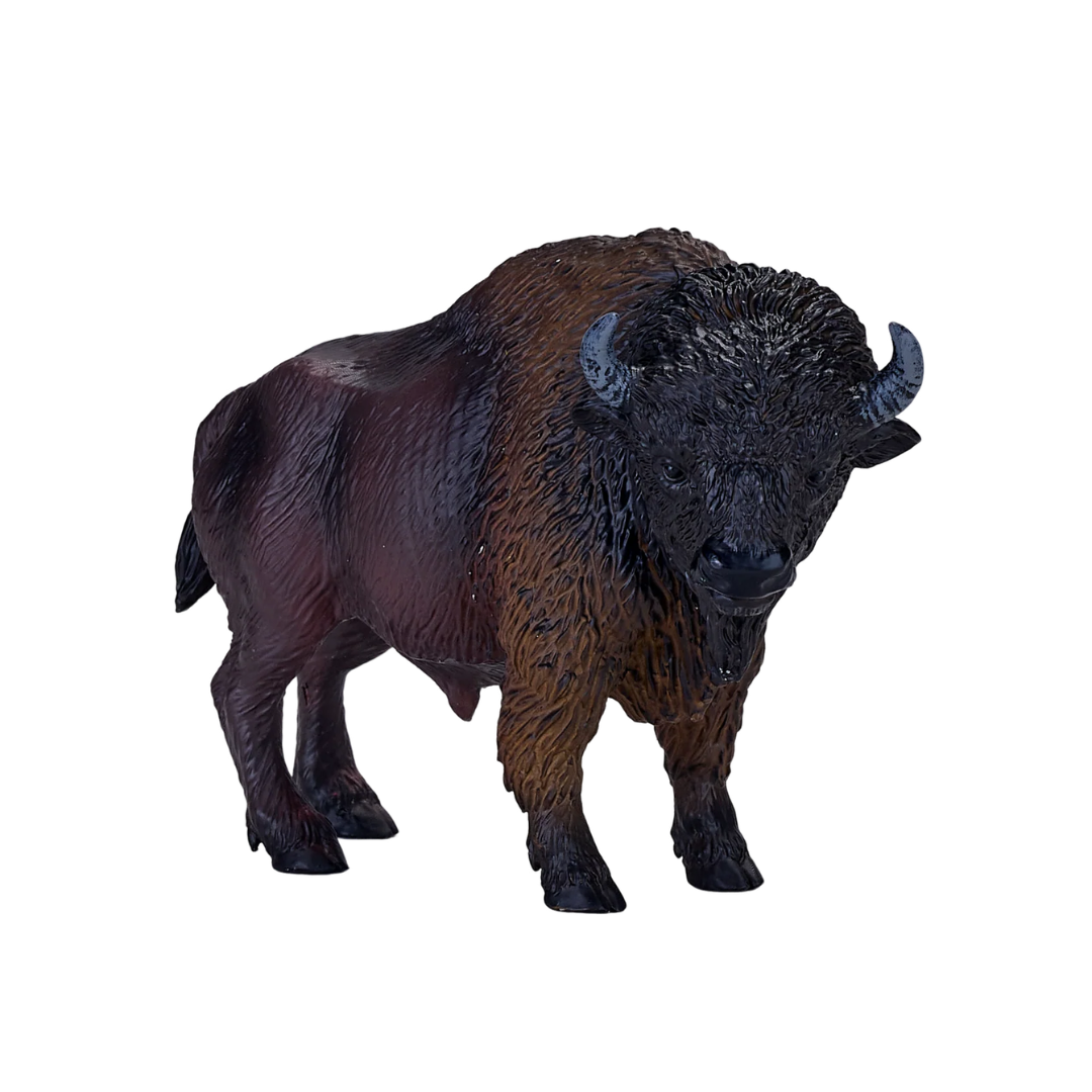 Mojo American Bison / Buffalo - L