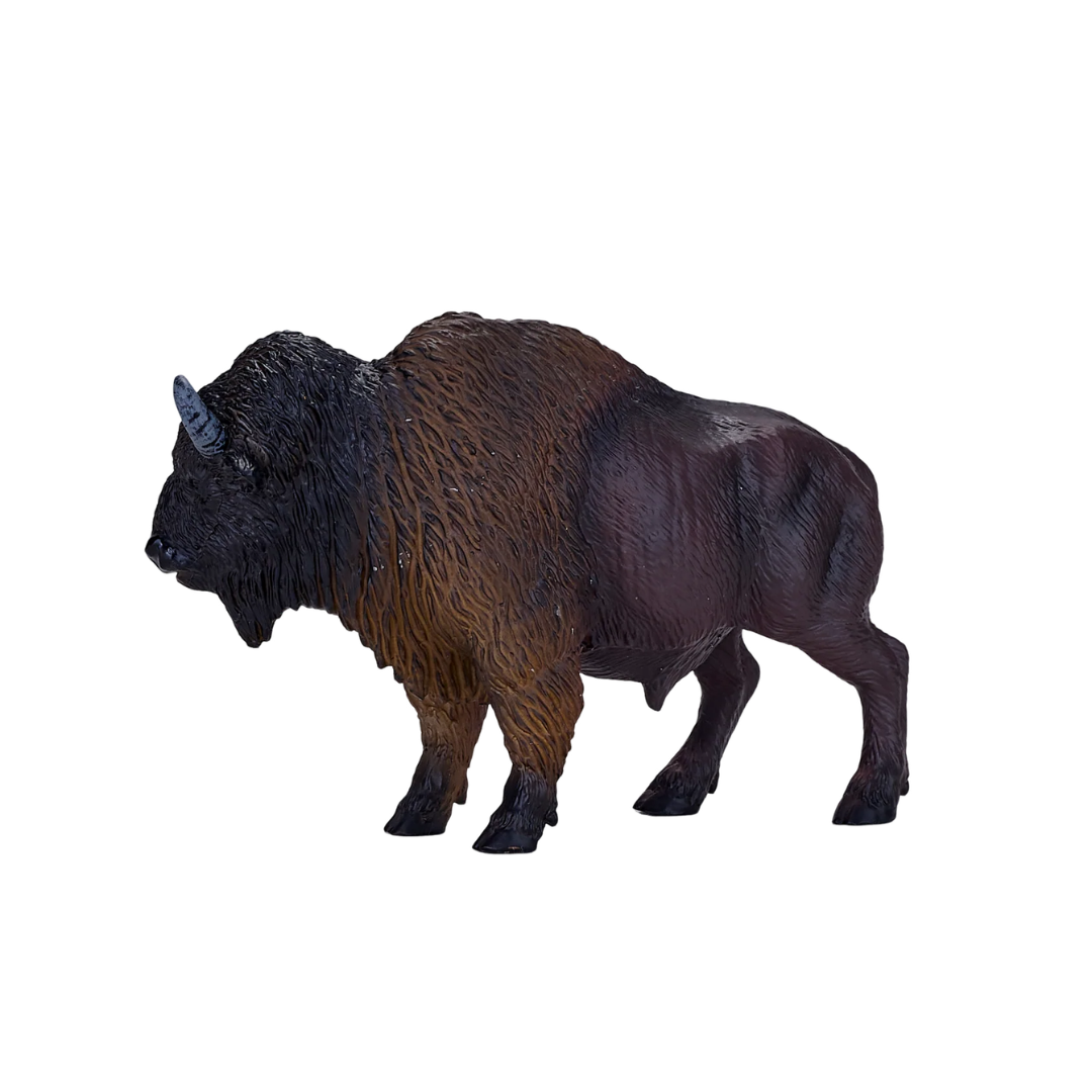 Mojo American Bison / Buffalo - L