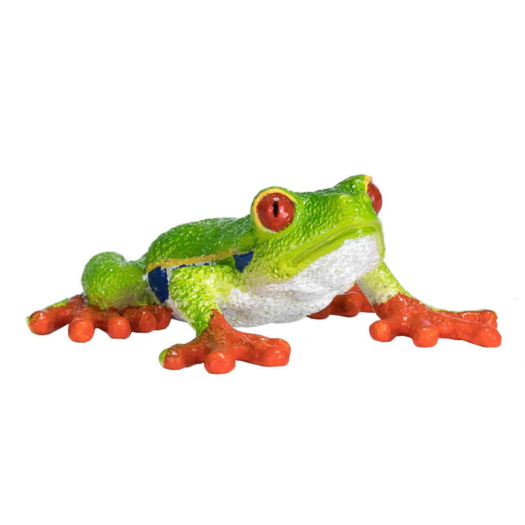 Mojo Red Eyed Tree Frog - M