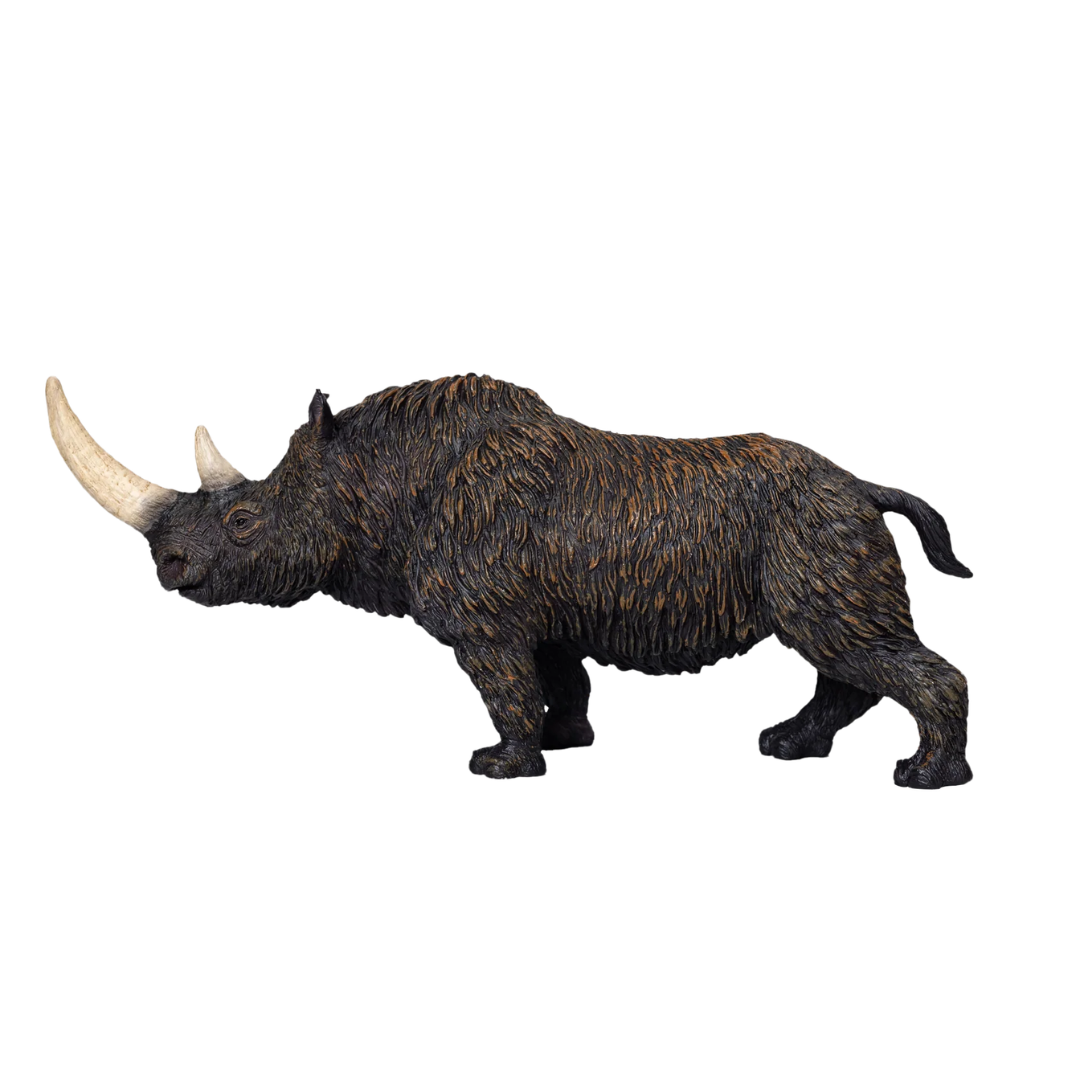 Mojo Woolly Rhino -DI