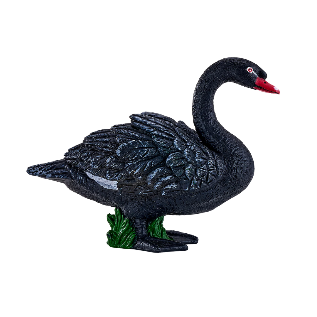 Mojo Black Swan