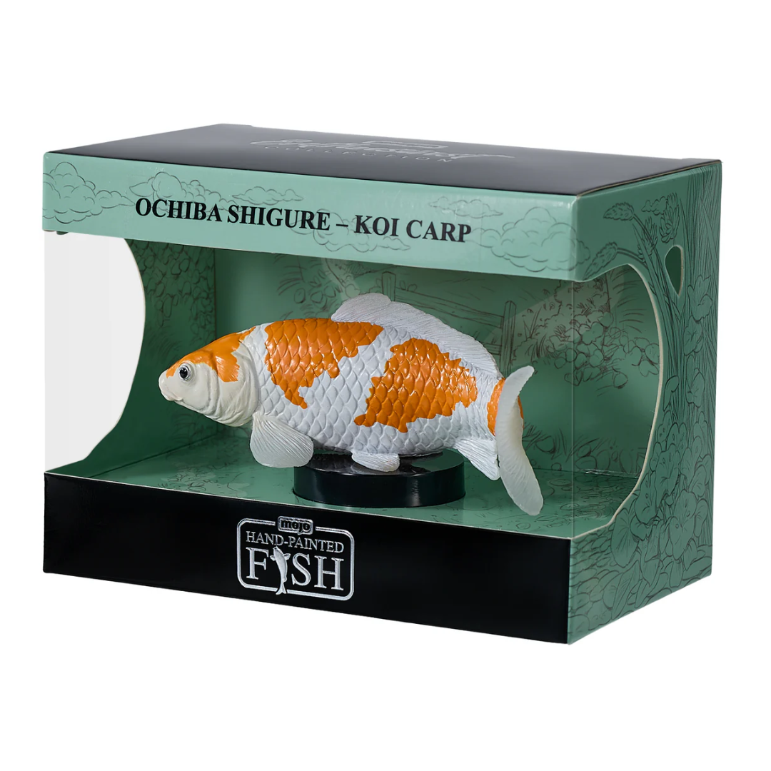 Mojo Koi Carp - Ochiba Shigure Koi (Gold White) Gift Boxed