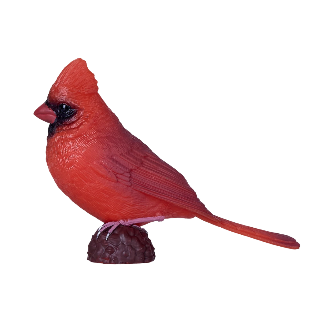 Mojo Red Cardinal - XL