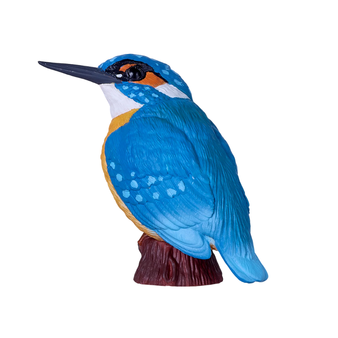 Mojo Kingfisher - XL