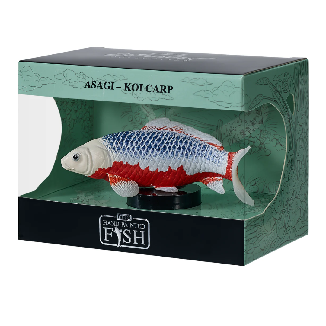 Mojo Koi Carp - Asagi Koi (blue red) Gift Boxed