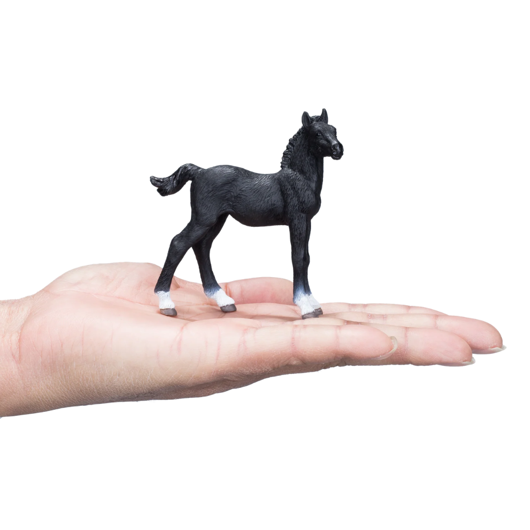 Mojo Hanoverian Foal Black  - M