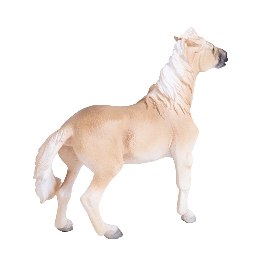 Mojo Brumby Mare  - XL