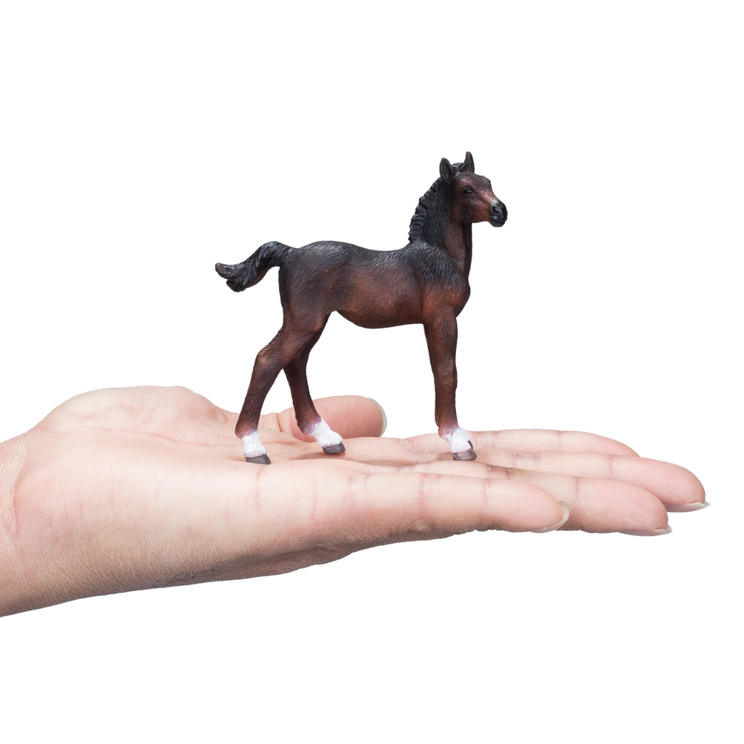 Mojo Hanoverian Foal Bay  - M