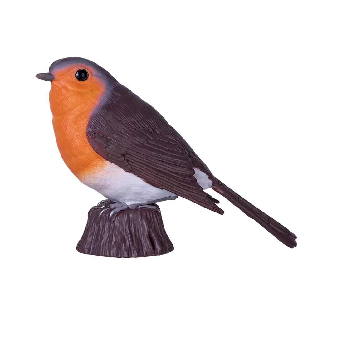 Mojo Robin - XL