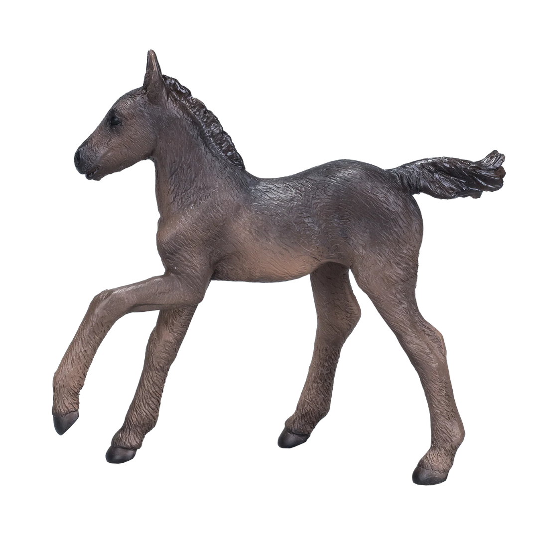Arabian Foal Black  - M