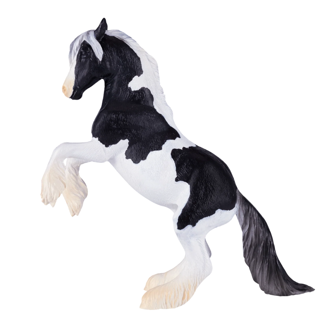 Mojo Irish Cob Stallion - XL