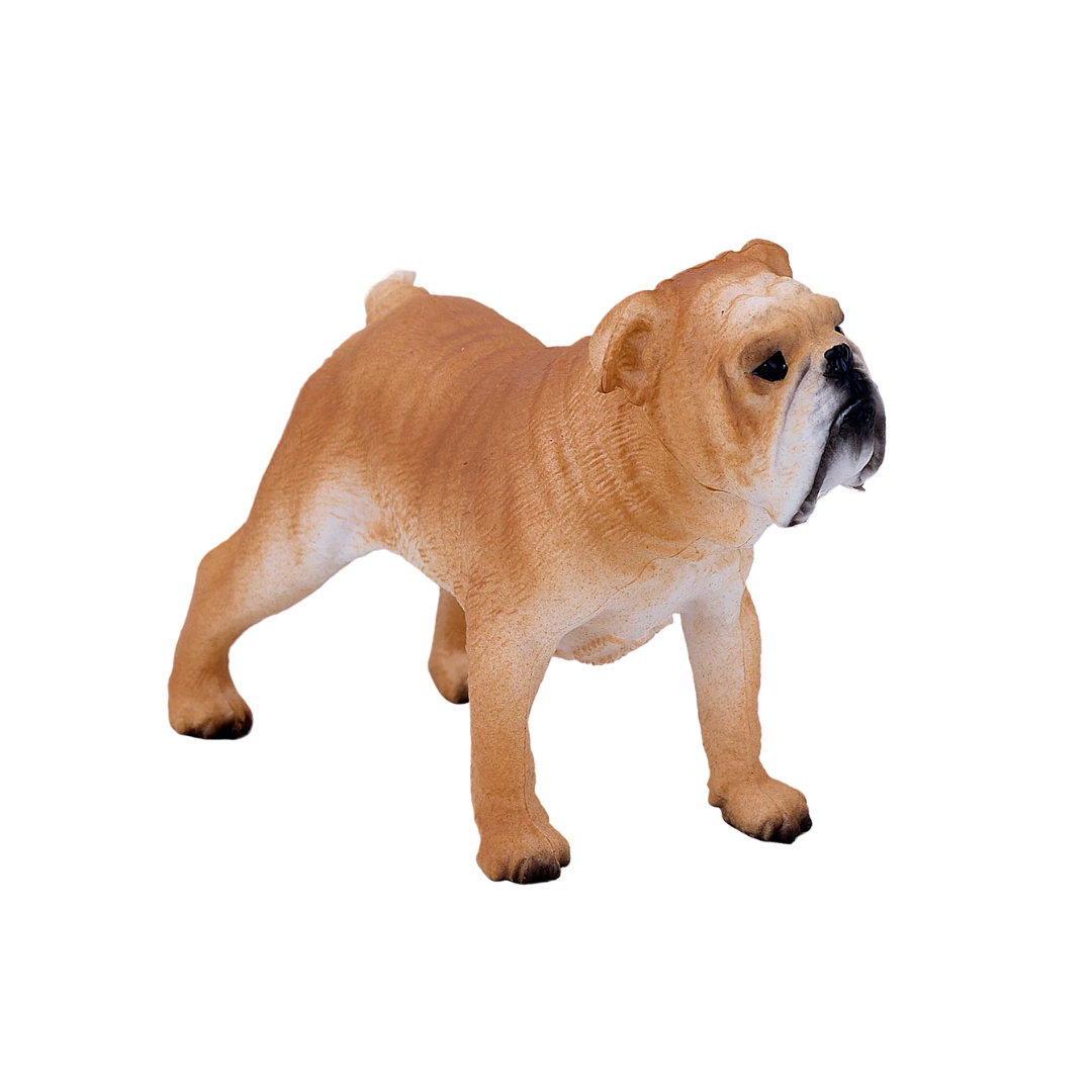 Mojo English Bulldog  - M
