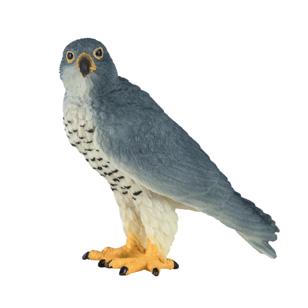 Mojo Peregrine Falcon - M