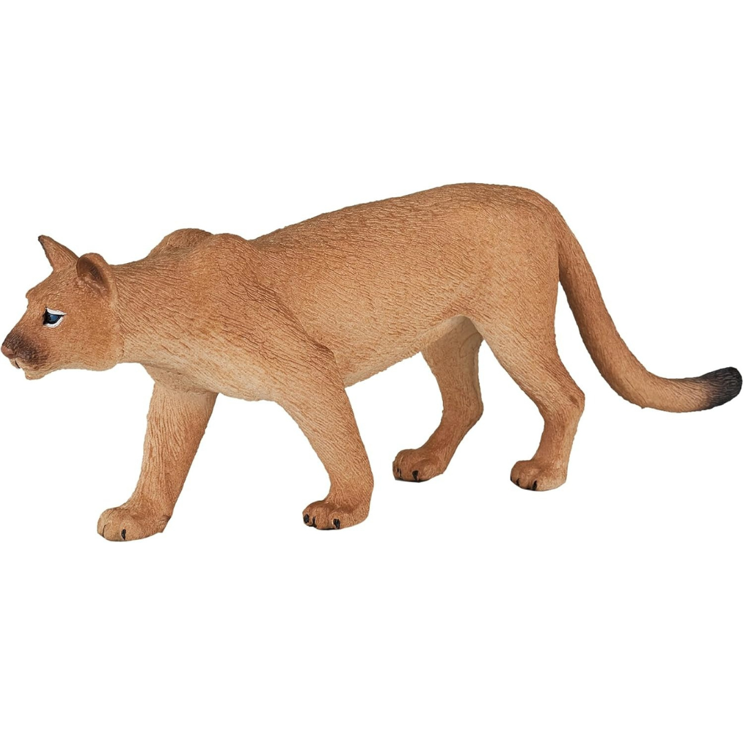 Mojo Mountain Lion - L