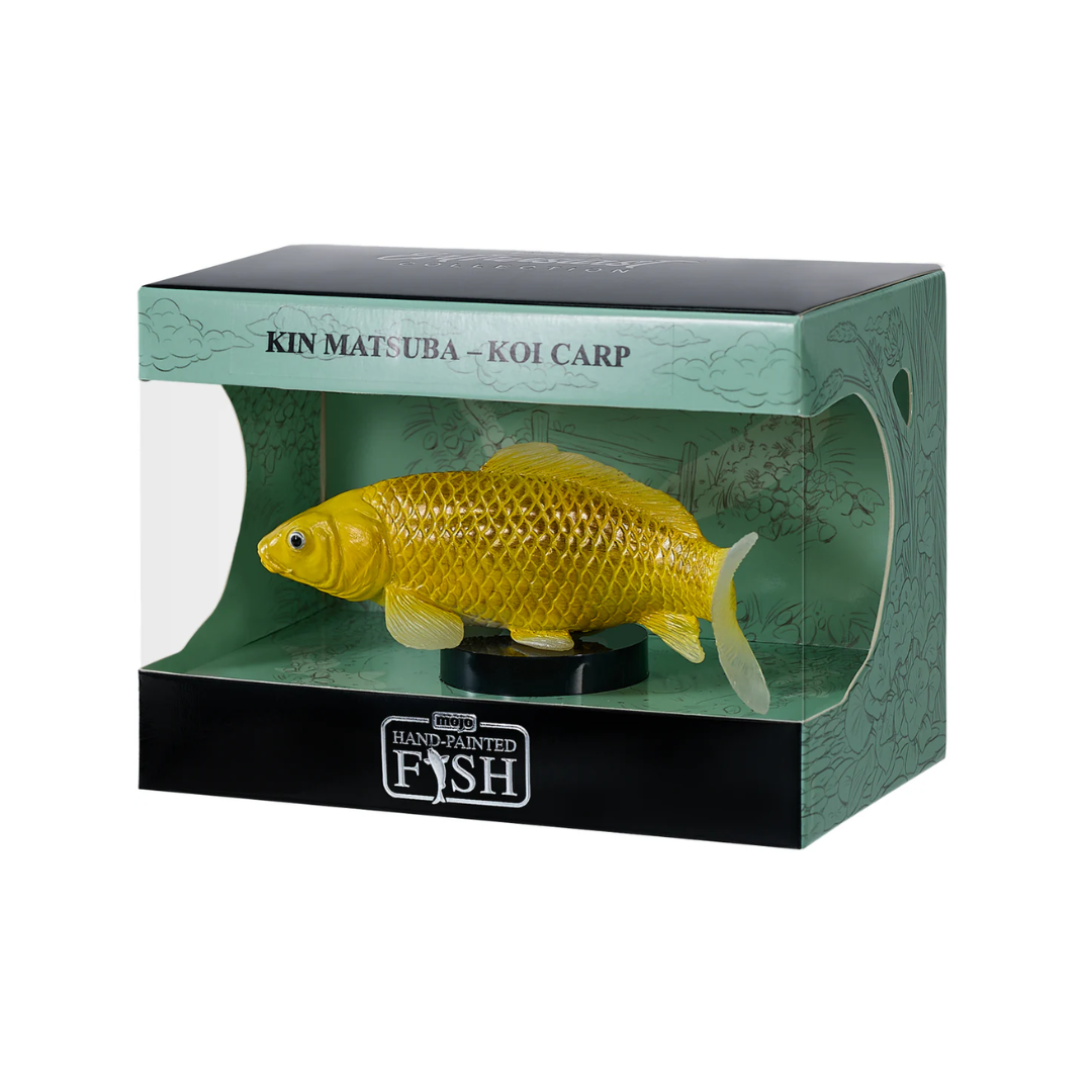 Mojo Koi Carp - Kin Matsuba Koi (Golden) Gift Boxed